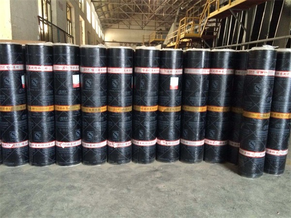 SBS防水卷材(圖1)