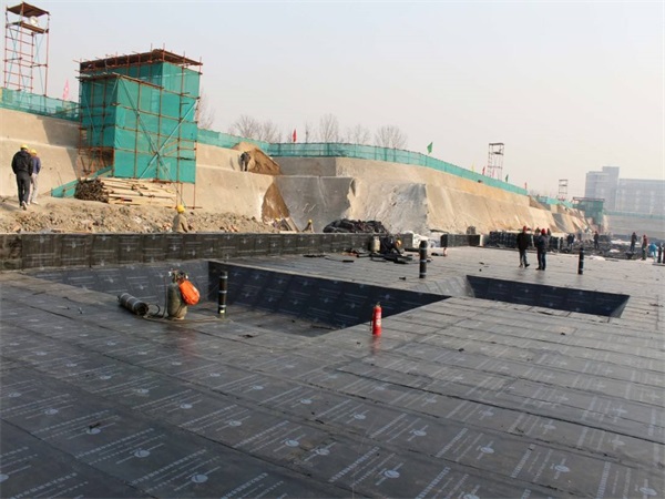 SBS防水卷材(圖1)